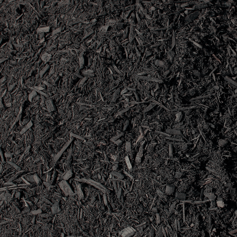 Bulk Aged Dark Bark